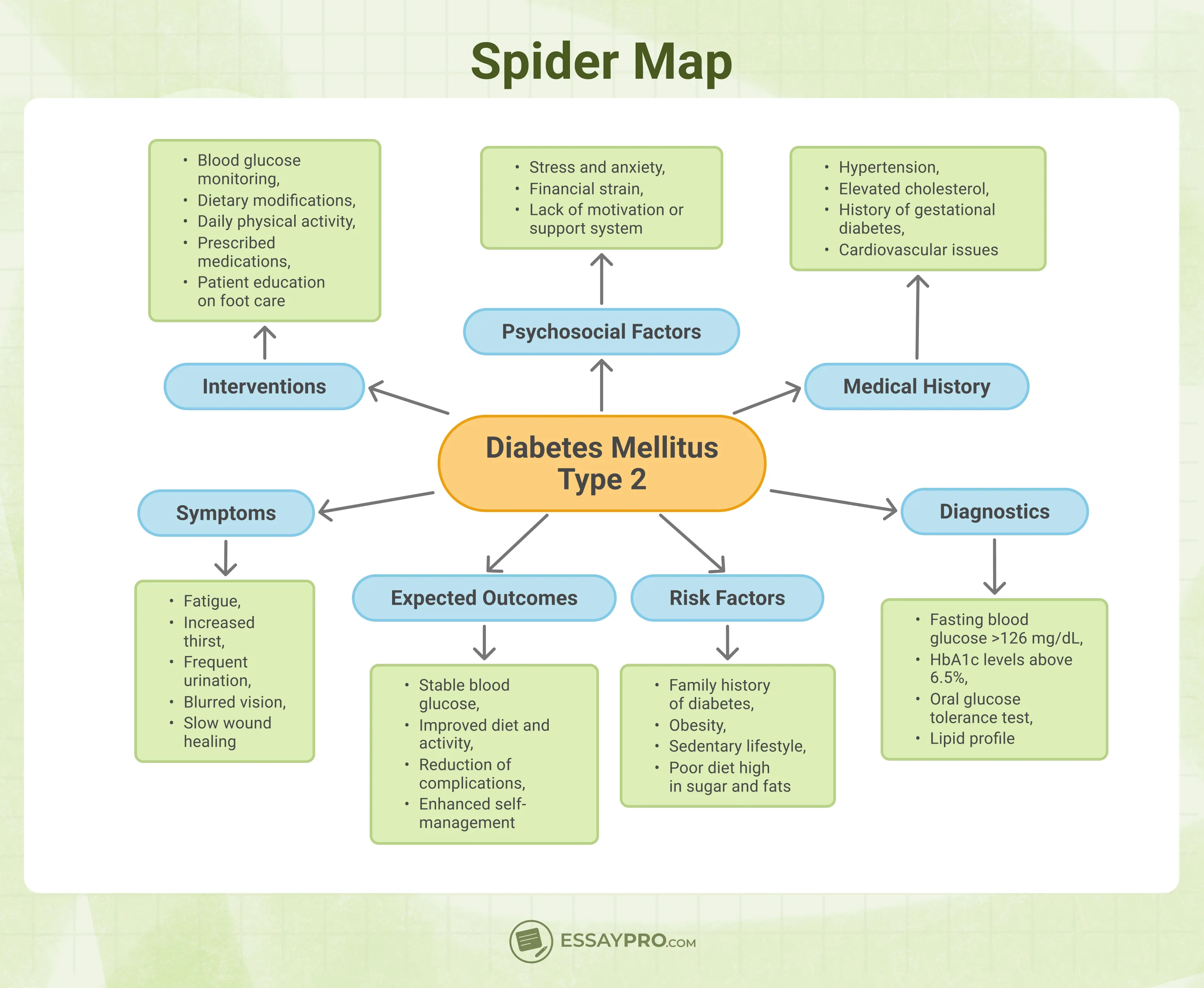 spider map